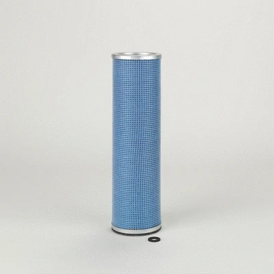 Secondary Air Filter (P136406)