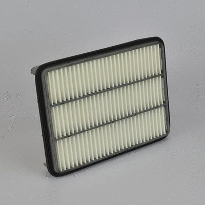 Air Filter (P505979)