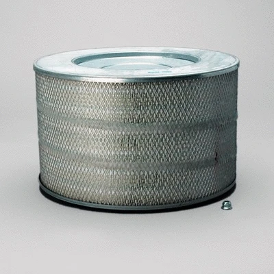 Air Filter (P780848)