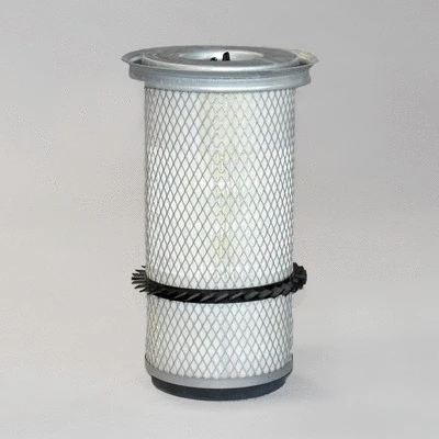 Air Filter (P771549)