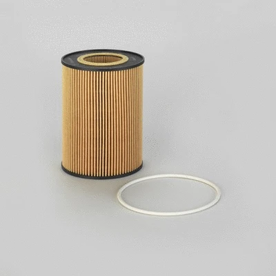 Oil Filter (P550630)