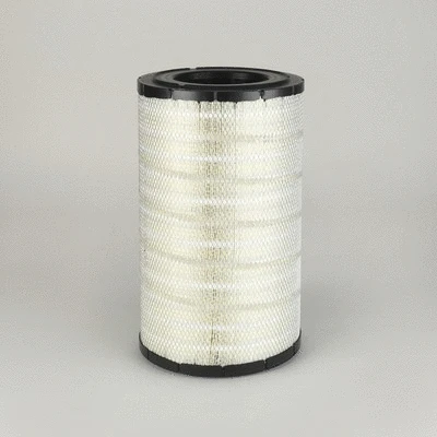 Air Filter (P778336)