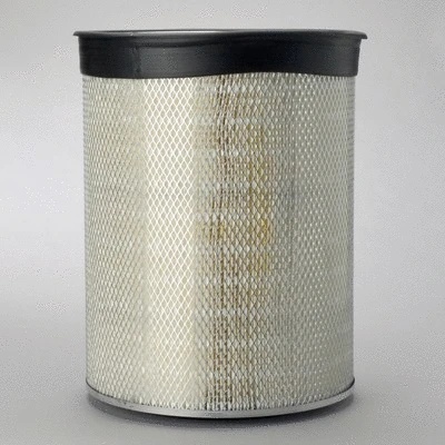 Air Filter (P181193)