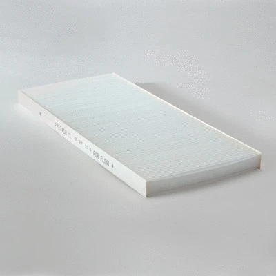 Air Filter (P787450)