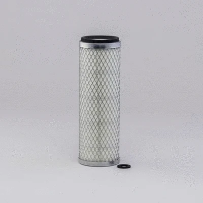 Secondary Air Filter (P158662)