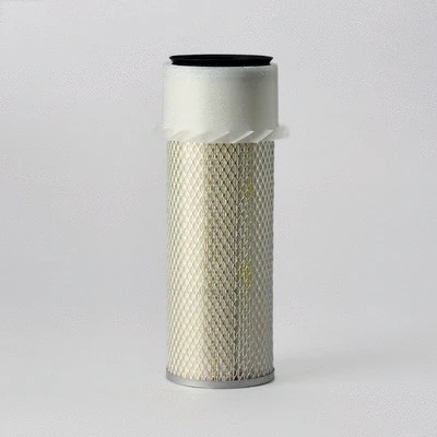 Air Filter (P119135)