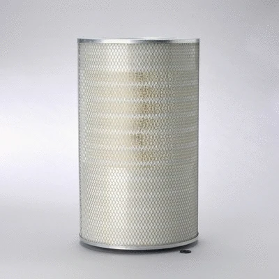 Air Filter (P772536)
