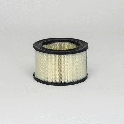 Air Filter (P607248)