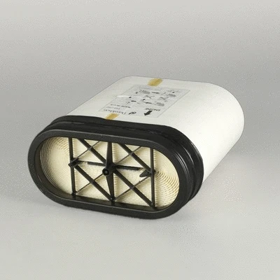 Air Filter (P951742)