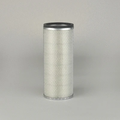 Secondary Air Filter (P131337)