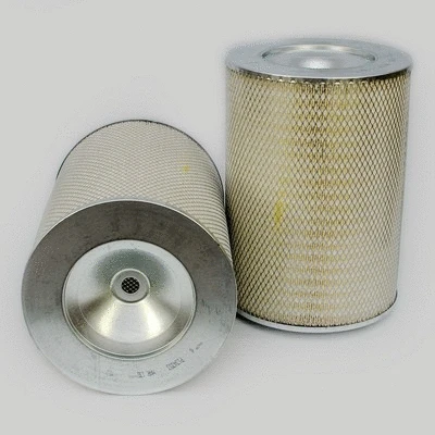 Air Filter (P134353)