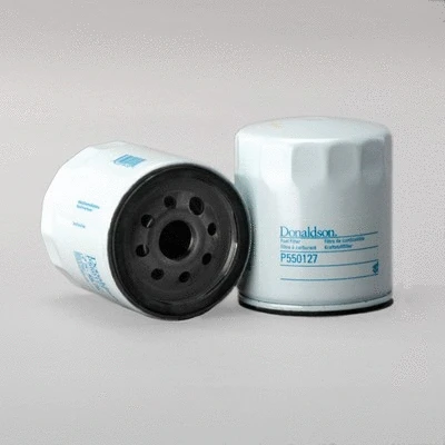 Fuel Filter (P550127)