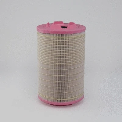 Air Filter (P784198)