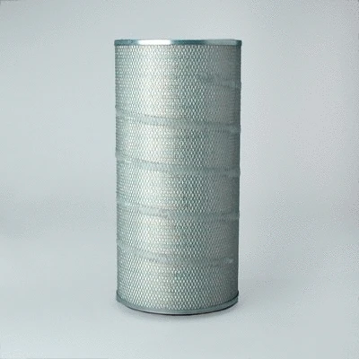 Air Filter (P778436)