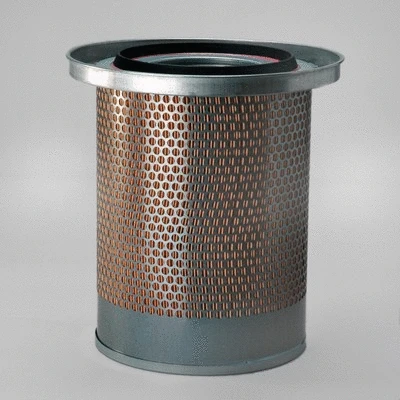 Air Filter (P781373)