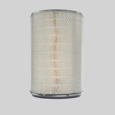 Air Filter (P137982)