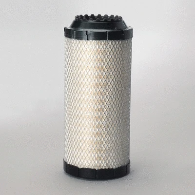 Air Filter (P778972)
