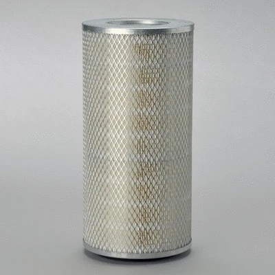 Air Filter (P133765)