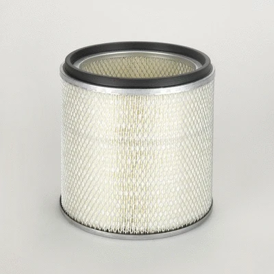 Air Filter (P119596)