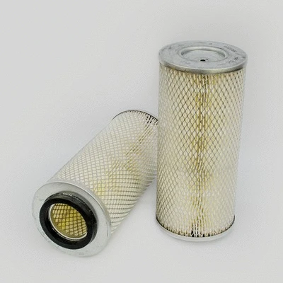 Air Filter (P181089)