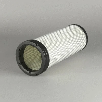 Secondary Air Filter (P778453)