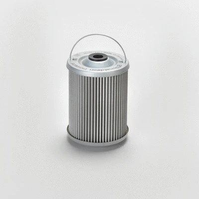 Fuel Filter (P550839)