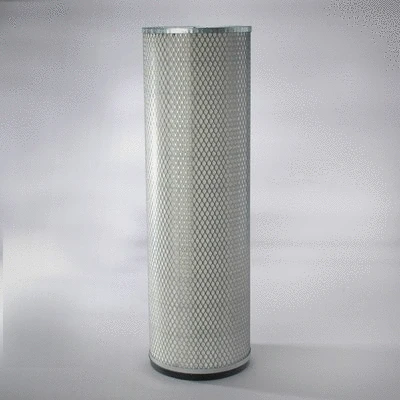 Secondary Air Filter (P127309)