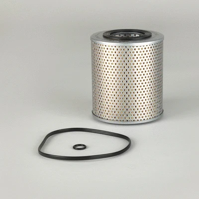 Oil Filter (P550066)