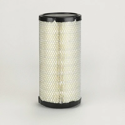 Air Filter (P778509)