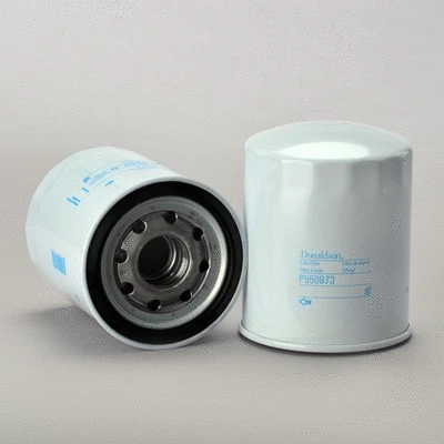 Oil Filter (P550973)