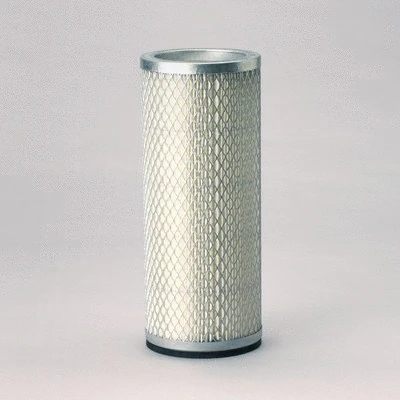 Secondary Air Filter (P124837)