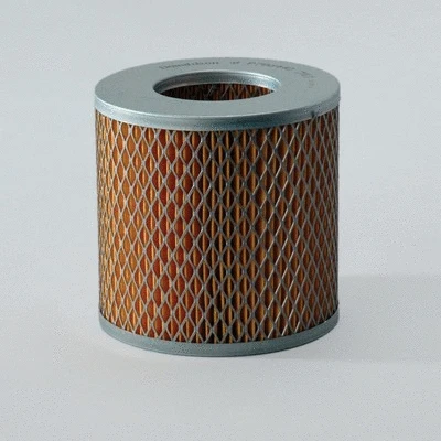 Air Filter (P786440)