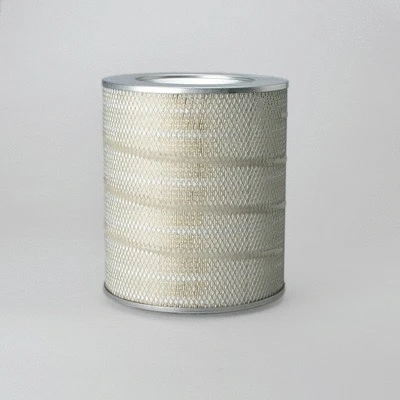 Air Filter (P777152)