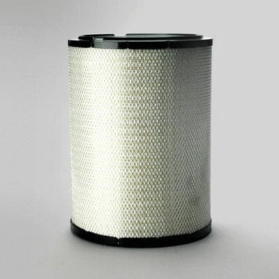 Air Filter (P781398)