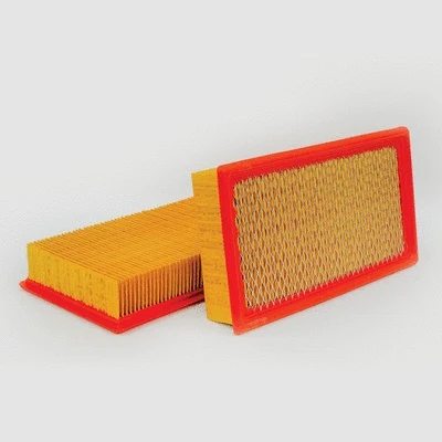 Air Filter (P546596)