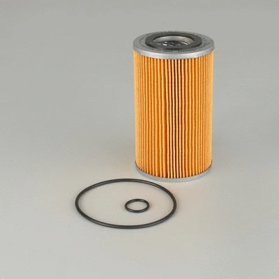 Oil Filter (P502194)