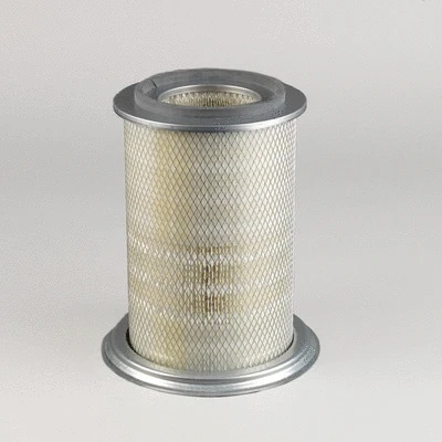 Air Filter (P771532)