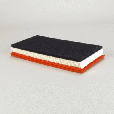 Air Filter (P536427)