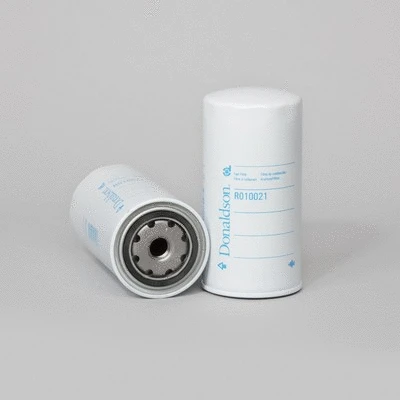 Fuel Filter (R010021)