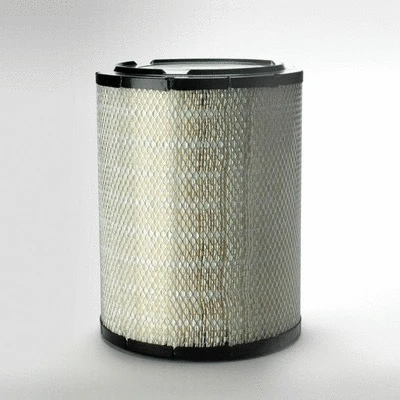 Air Filter (P536577)