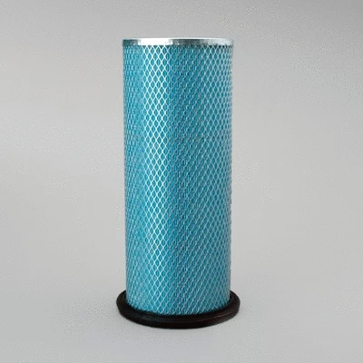 Secondary Air Filter (P119373)