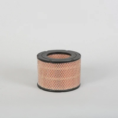Air Filter (P500023)