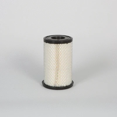 Air Filter (P505998)