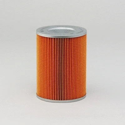 Air Filter (P500083)