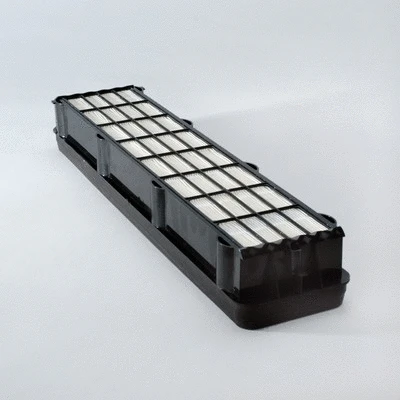 Filter, cabin air (P789129)