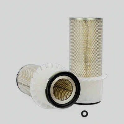 Air Filter (P182059)