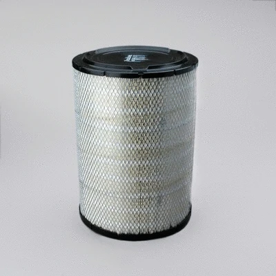 Air Filter (P533930)