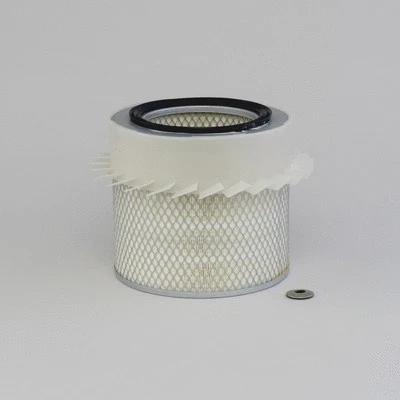 Air Filter (P533232)