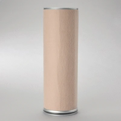 Secondary Air Filter (P781351)