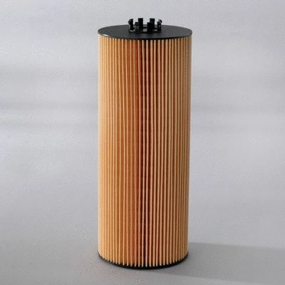Oil Filter (P550453)